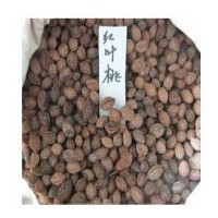 供應(yīng)紅葉桃種子