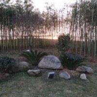 江西省南昌市室外圍欄花園柵攔菜園爬藤架竹子竹籬笆哪里有賣(mài)便宜