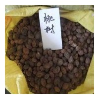 供應(yīng)綠化桃樹種子