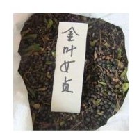 供應(yīng)金葉女貞種子