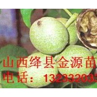供應 核桃苗 蘋果苗 山楂苗 桃樹苗 杏樹苗 梨樹苗