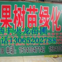 123蘋果苗
