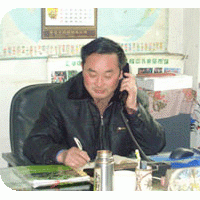 桃樹毛苗，嫁接苗