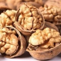 核桃苗-溫185由一品公司提供，溫185屬優(yōu)質(zhì)核桃苗