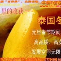 供泰國(guó)冬芒種苗