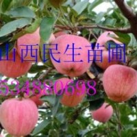 2-8公分；桃樹.山桃樹.蘋果樹.杏樹.梨樹