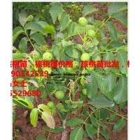 要想種的好，就選四川久億，四川久億有保障