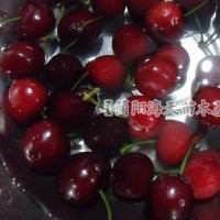 5、車?yán)遄訕涿鐑r(jià)格，車?yán)遄用缙贩N，車?yán)遄訕涿缗l(fā)