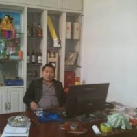 便宜占地櫻桃樹出售