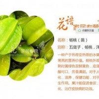 紅楊桃果苗