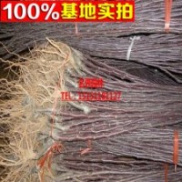 紅富士蘋果 水果蘋果直銷 脆甜條