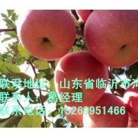 出售采摘園果木，葡萄，草莓，梨，蘋果，桃，杏等果樹苗木，價格