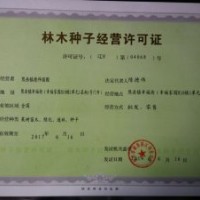供應(yīng)遼寧榛子苗