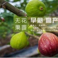 【惠星農(nóng)
