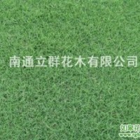 草坪基地