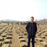 馬尼拉供貨圖