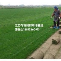 供應(yīng)百慕大草坪，馬尼拉草坪，混播草坪，果嶺草