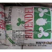 河北晶然草種銷(xiāo)售中心供應(yīng)白三葉草種，紅三葉草種，雜三葉草種