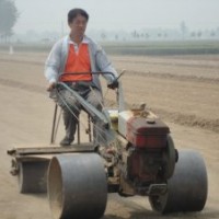 小區(qū)草坪