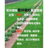 供應各式綠化草皮、草種