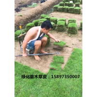臺(tái)灣請(qǐng)草皮