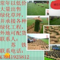 出售美國優(yōu)異草坪