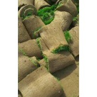 欒城草坪價格