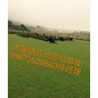 馬尼拉草坪價(jià)格是多少？