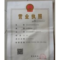 金葉女貞價(jià)格 金葉女貞球