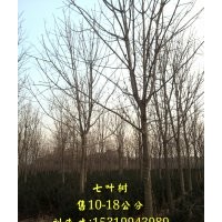 陜西周至苗木供應(yīng)系統(tǒng)解決商