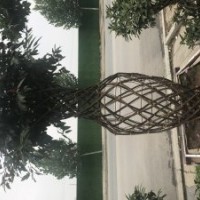 海棠花瓶