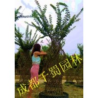 紫薇造型 紫薇花瓶 紫薇亭子