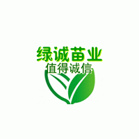 自貢出售黃葛樹