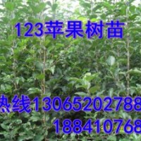 123果樹苗，123果樹苗價(jià)格