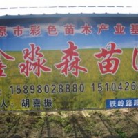 五角楓 山丁子 梓樹 梧桐 山櫻桃 衛(wèi)矛