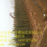 供應山東0.6-3米北海道