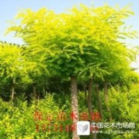 保定國(guó)槐