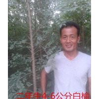 榆樹(shù)大王