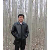 6新疆楊