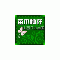 供應(yīng)山桃苗、山杏苗、杜梨苗、海棠苗、白皮松、側(cè)柏