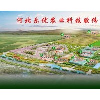 河北樂優(yōu)供應(yīng)無花果,海棠,碧桃,菊芋，雜交狼尾草等苗木