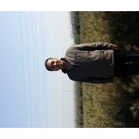 營養(yǎng)杯油松14x17、16x16高5o一70公分,新疆楊胸徑1一2o公分,各種