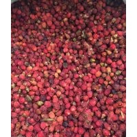 南方紅豆杉及其干果