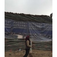 長青苗木合作社