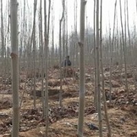 給錢就賣