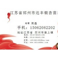 基地2011年4月銀杏樹(shù)最新價(jià)格表