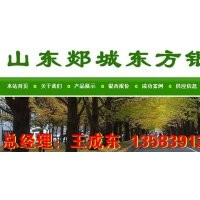 供應(yīng)：1---8公分銀杏小苗 8---60公分銀杏實生樹 8---80公分銀杏