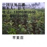 供應(yīng)國槐，速生楊，榆樹，柳樹，刺槐，桐樹，香椿等