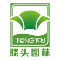 出售黃山欒樹、無患子、西府海棠、紅楓、青楓、廣玉蘭、四季桂
