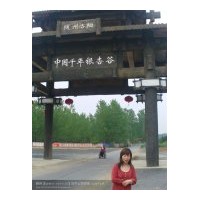 售銀杏樹(shù)——湖北省隨州市洛陽(yáng)鎮(zhèn)